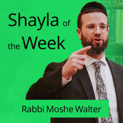 episode Shayla of The Week #154- The Never Ending Shul, School, Car, and at Home Dispute- Whose decision is it if a window is opened or closed when there is a difference of opinion regarding the temperature? artwork