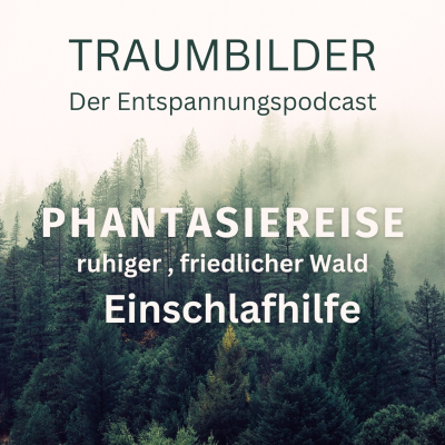episode Einschlafhilfe I Entspannung I Phantasiereise "friedlicher Wald" artwork