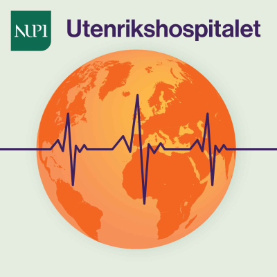episode USA, Gaza, Ukraina, EU og Nato – Hva betyr det for ditt valg i 2025? artwork