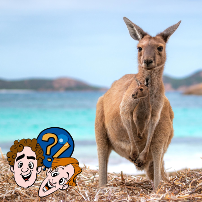 episode Kacken Känguru-Babys in den Beutel? artwork