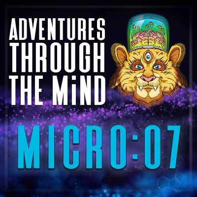 episode MICRO:07 - Beyond Right and Wrong: What Psychedelics Reveal About the Nature of Goodness, Christopher Bache PhD artwork