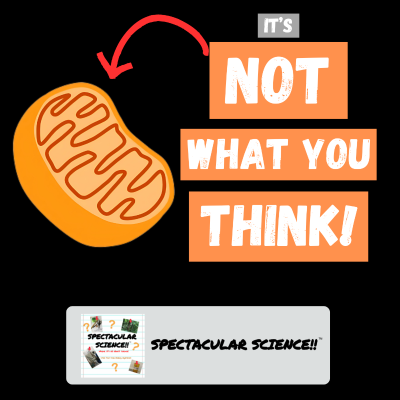 episode Mitochondria – It’s Not What You Think! artwork