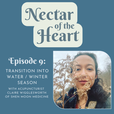 episode Transition Into Water / Winter Season with Acupuncturist Claire Wigglesworth artwork