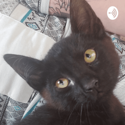 Imagen de portada del programa Mojito Ergo Sum