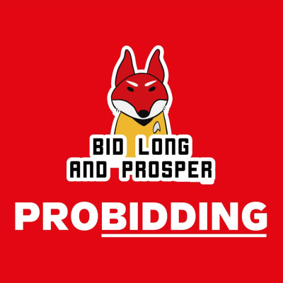 episode PROBIDDING 2019 - Šárka Cihlová artwork