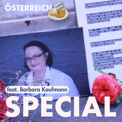 episode Special: Ein Opfer wird angeklagt artwork