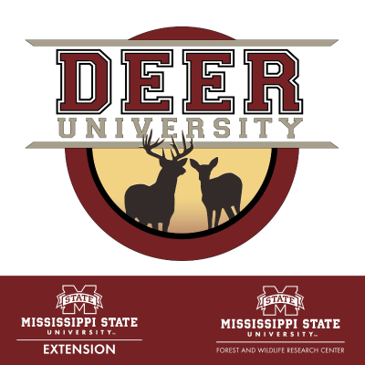 episode Steve's Dispersal Event | Deer University #450 artwork