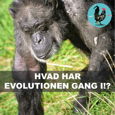 episode #248: Hvor heler mennesker langsommere? artwork