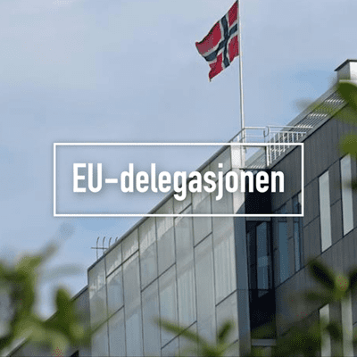 EU-delegasjonen