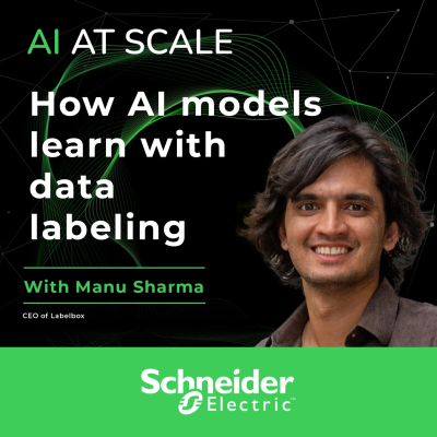 episode Manu Sharma: How AI models learn with data labeling artwork