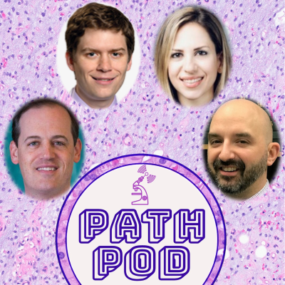 episode IHC Talk: Soft Tissue with Dr. David Papke artwork