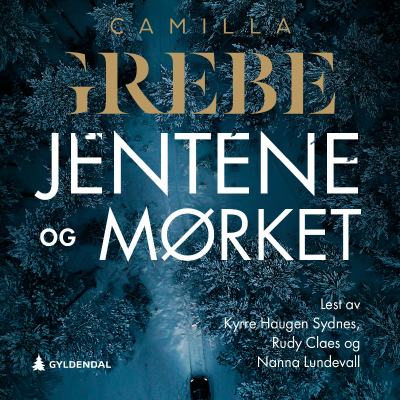 Jentene og mørket cover