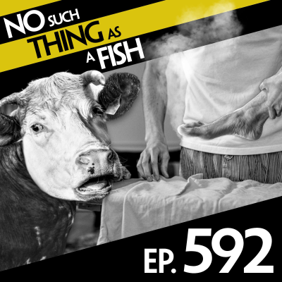 episode 592: No Such Thing As A Cat In A Muumuu artwork