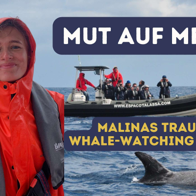 episode #39 Mut zu Meer - Von der Rettungssanitäterin zum Whale Watching Guide - mit Malina Güthner artwork