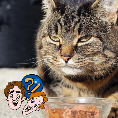 episode Warum gibt es kein Katzenfutter mit Mäusegeschmack? artwork