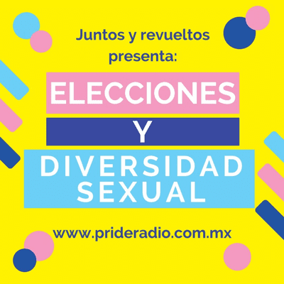 episode Elecciones y Diversidad Sexual artwork