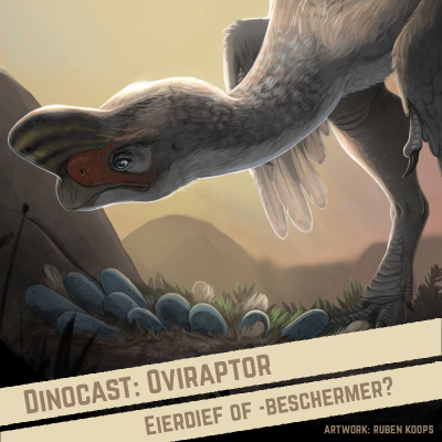 episode S3E5: Oviraptor: eierdief of -beschermer? artwork