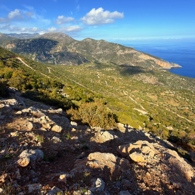 episode Zprávy z lesa #126 🕸️ artwork