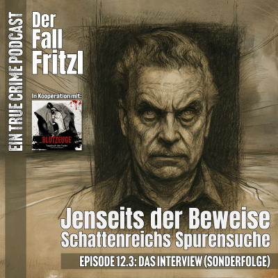 episode Der Fall Fritzl - Teil 3 artwork