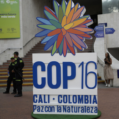 episode UN biodiversity summit opens in Colombia artwork