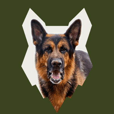 episode When Should My GERMAN SHEPHERD Get Their Vaccination artwork