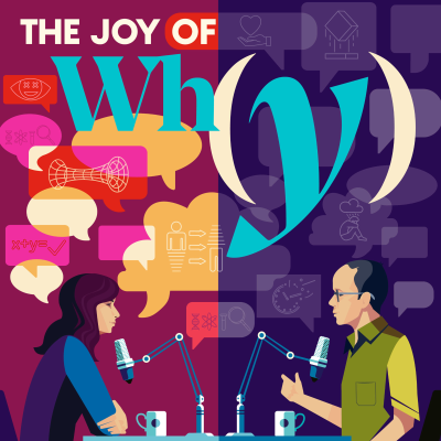 Imagen de portada del espectáculo The Joy of Why