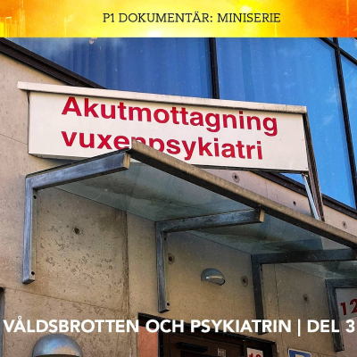 episode Våldsbrotten och psykiatrin – Vansinnesdådet | Del 3/3 artwork