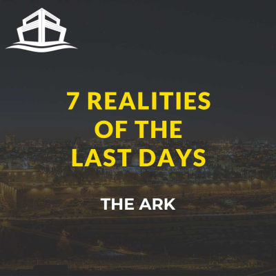 episode S5 - Reality 4 - Great Tribulation artwork