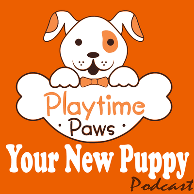episode YNP #062: How I Taught My Dog a New Trick artwork