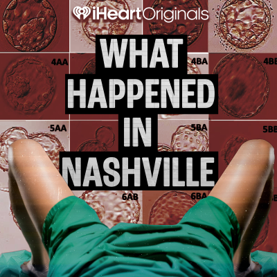 episode The Audit — Nashville E4 artwork