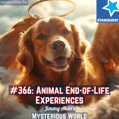 episode Animal End-of-Life Experiences (Pets, Last Goodbyes, Last Rallies, Crisis Apparitions, Terminal Lucidity, Deathbed Visions, Precognition, etc.) artwork