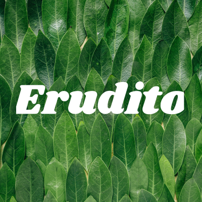 Erudito
