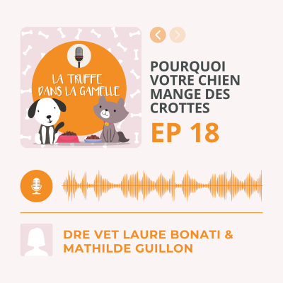 episode Pourquoi votre chien mange des crottes et votre chat miaule devant une gamelle pleine artwork