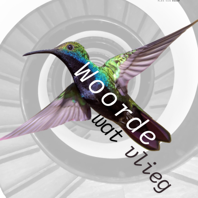 episode Woorde Wat Vlieg | Marius Keyter artwork
