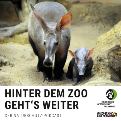 episode Kennt ja kein Schwein: Erdferkel artwork