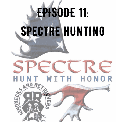 episode #11 - Spectre Hunting artwork