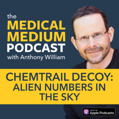 episode 099 Chemtrail Decoy: Alien Numbers In The Sky artwork