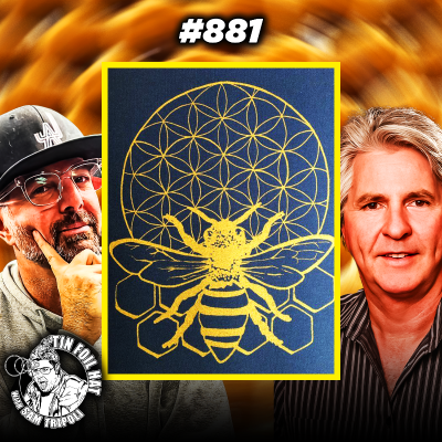 episode #881: The Sacred Geometry Of Bees With Brent Knudsen artwork