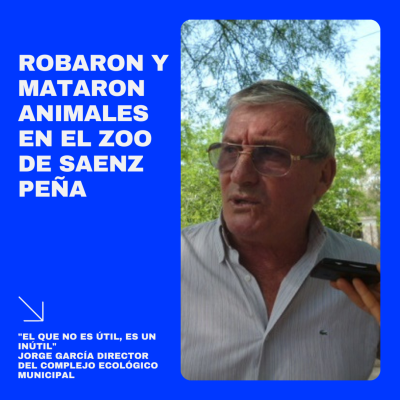 episode ROBARON Y ASESINARON ANIMALES EN EL ZOO DE SAENZ PEÑA CHACO artwork