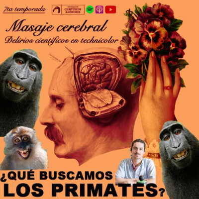 episode ¿QUÉ BUSCAMOS LOS PRIMATES? artwork