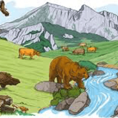 Los seres vivos y su ambiente