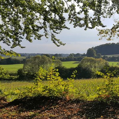 episode Naturpark Hüttener Berge artwork