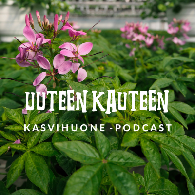 episode Uuteen kauteen artwork