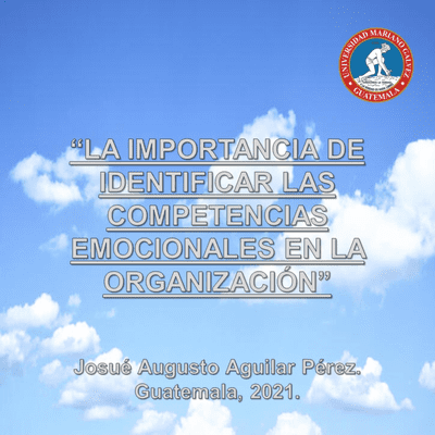 “LA IMPORTANCIA DE IDENTIFICAR LAS COMPETENCIAS EMOCIONALES EN LA ...