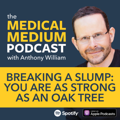 episode 117 Breaking A Slump: You Are As Strong As An Oak Tree artwork