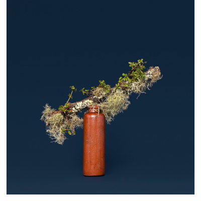 episode Conversations with New Zealand Photographers - Ann Shelton (av) artwork