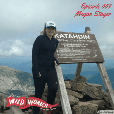 episode 009: Megan Stayer of Modern Natural Living artwork