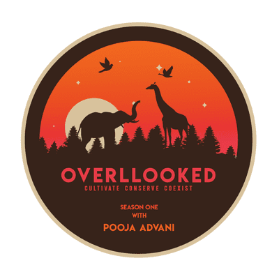 episode EP.12 | "I've made a fool of myself rescuing animals"~ Shivani Sharma| Overllooked with Pooja Advani artwork