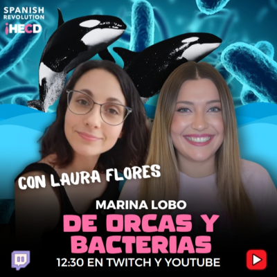 episode HECD! 567 Marina Lobo - Peinado pide imputar a Bolaños + ¿Alto al fuego? + Orcas y bacterias, con Laura Flores artwork