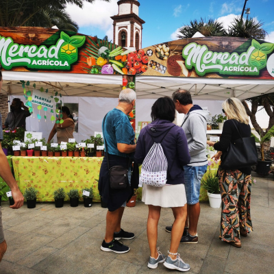episode Antigua retoma el Mercado Agrícola cada primer domingo de mes artwork